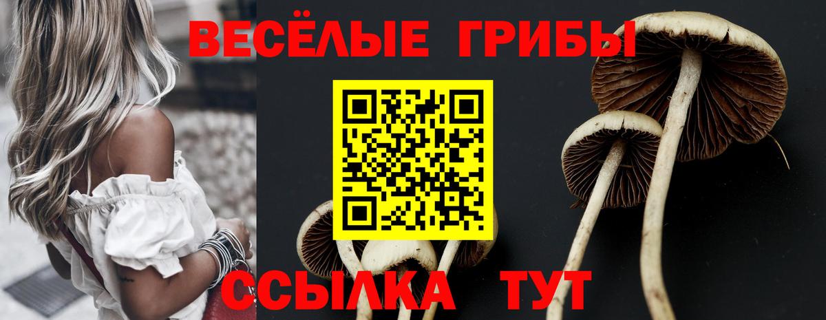 Ялта  Галлюциногенные грибы Cubensis  Вход с VPN  Псилоцибиновые грибы прущие грибы 